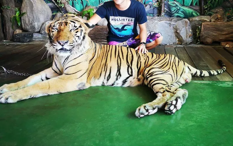 タイ輸入ビジネスはやっぱ最強だな。