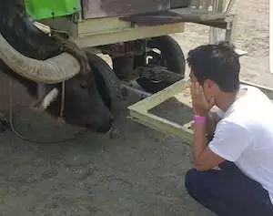 【タイ輸入ビジネス】（バンコク）仕入れツアーに松田さんの感想